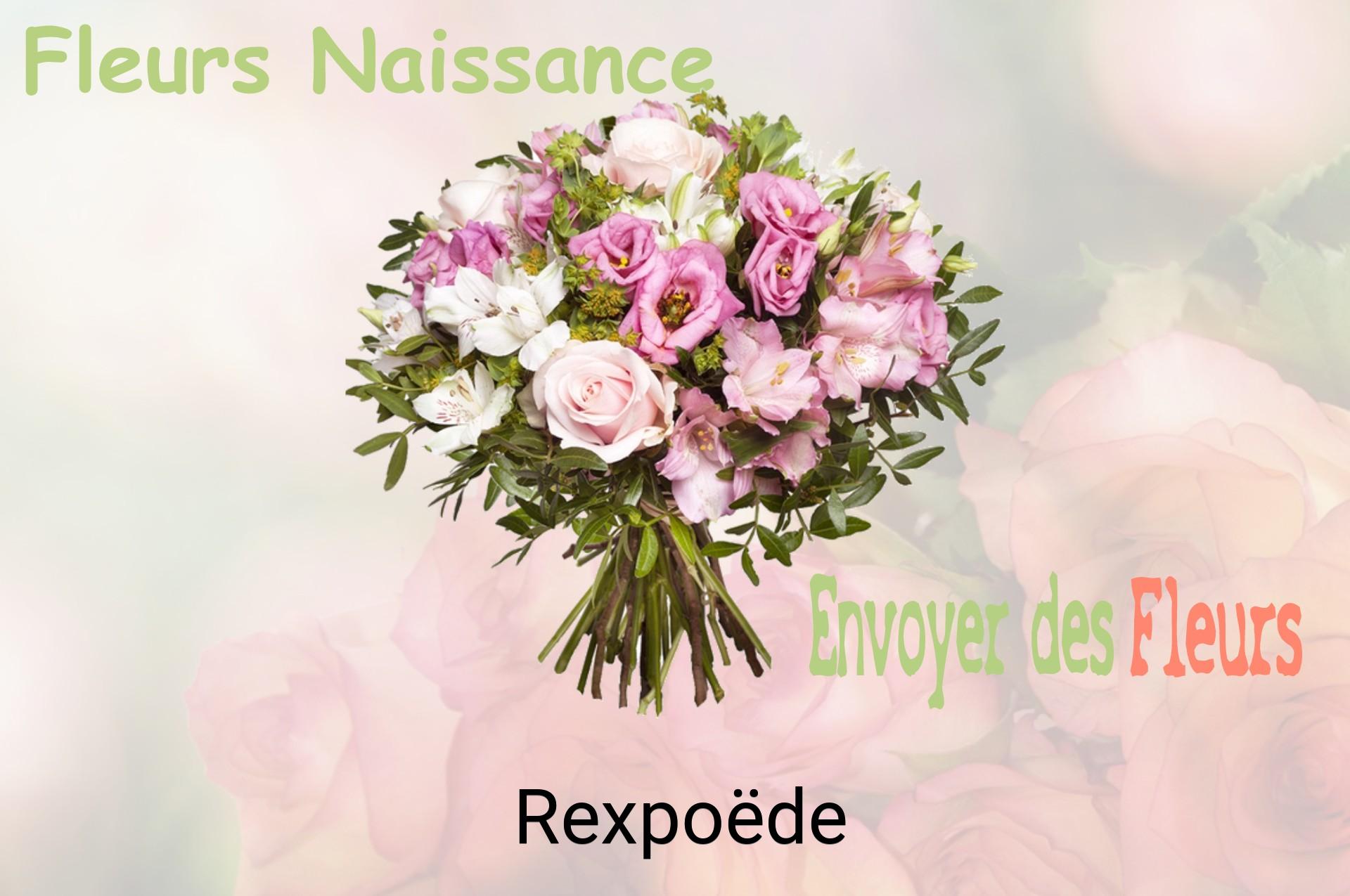 Bouquet de fleurs de naissance livré à Rexpoëde